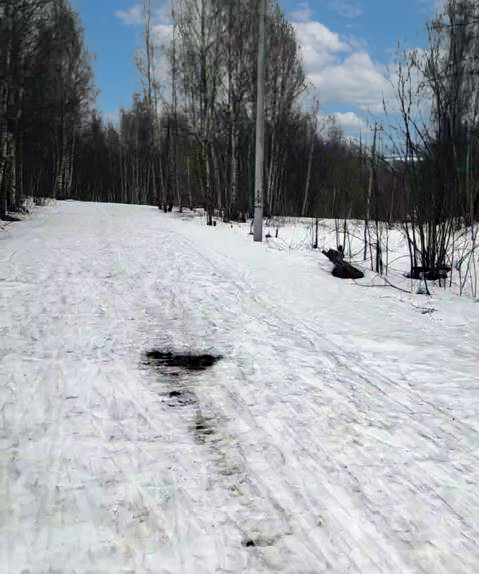 Трасса лыжная им. А. Завьялова, Чулково, состояние на 28 марта 2026 по отзыву, фото 1. 